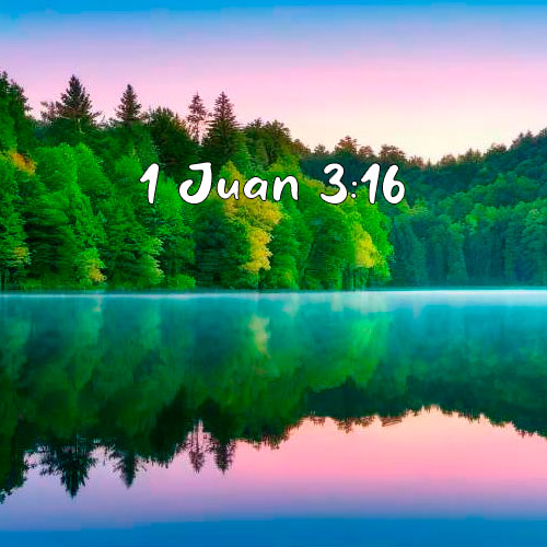 1-juan-3-16